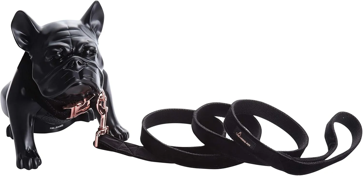 ARING PET Dog Collar and Leash, Velvet Dog Collar and Leash Set, Soft & Comfy, Adjustable Collars for Dogs