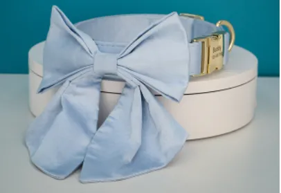 Blue Bay Butterfly Collar With Flower- Personalized