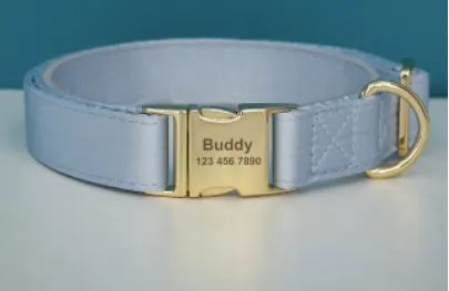Blue Bay Butterfly Collar With Flower- Personalized