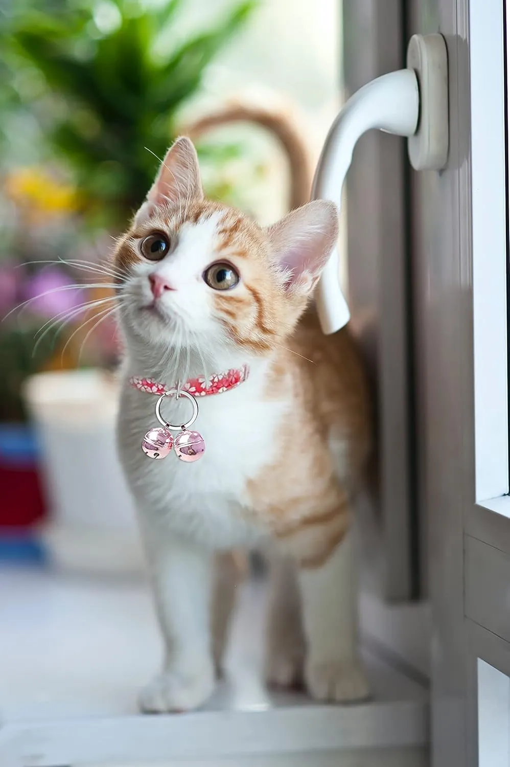 Cat & Dog Collar Bell, Pack of 2, Extra Loud Dog Bell for Pet Tracking & Saving Wildlife, Birds, Durable Iron Split Ring & Lobster Bell Clip