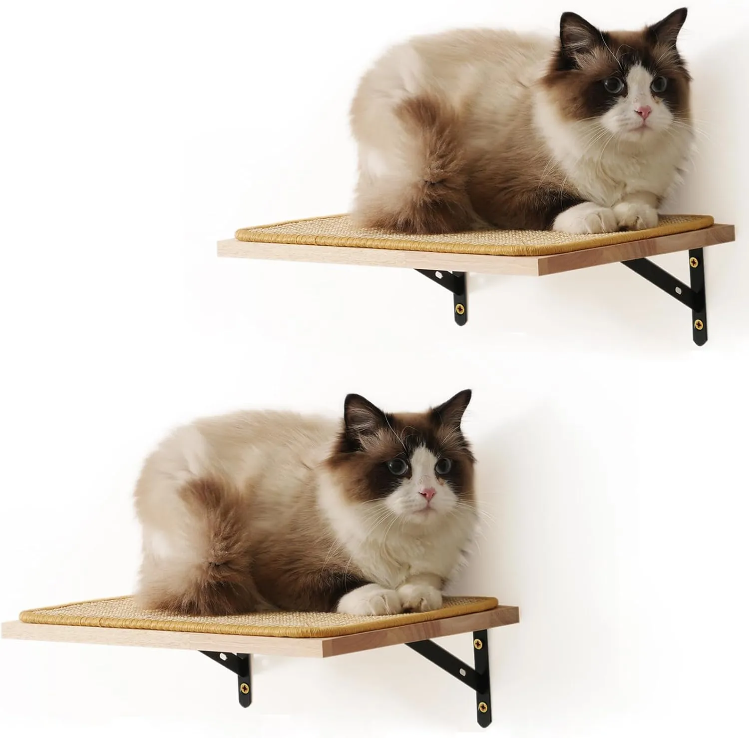 Cat Wall Shelves, 15.7x9.8 Inch Cat Furniture with Sisal Mat, Solid Rubber Feet, Climbing, Playing & Lounging
