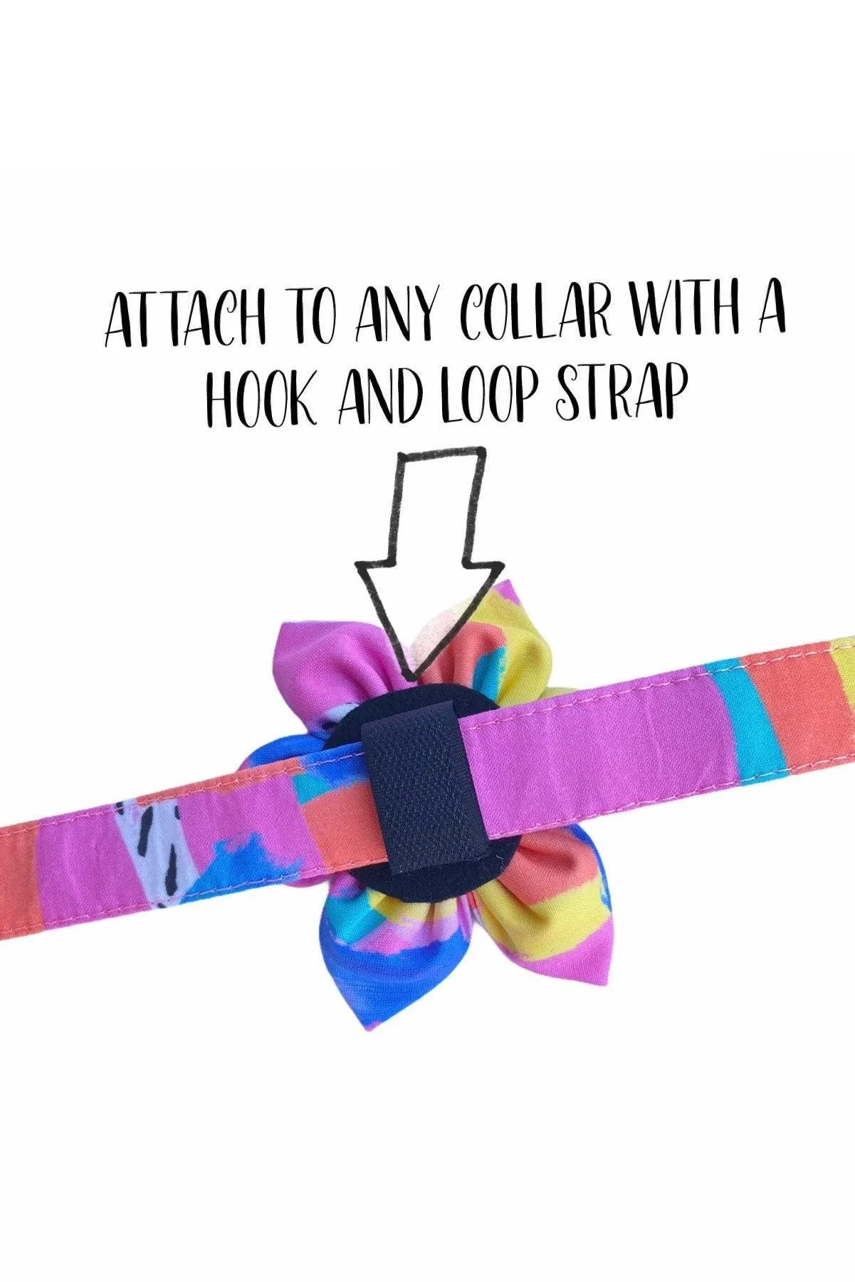 Dog Collar Flower | Sunflower Dog Collar Flower | Duke & Fox®