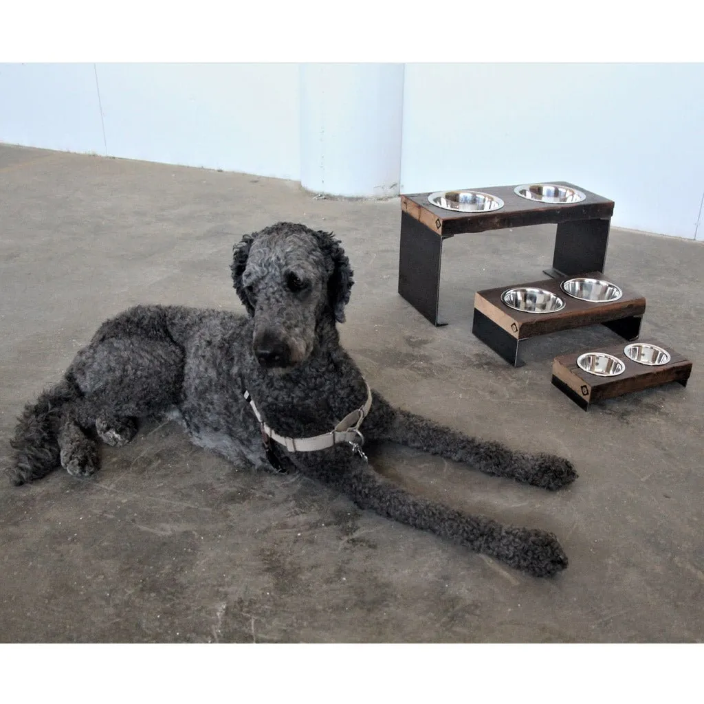 Elevated Pet Bowl : Medium