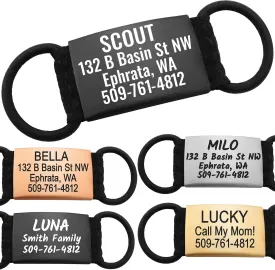 GoTags Silent Personalized Engraved Pet ID Tags for Dogs and Cats, Jingle Free Quiet Custom Stainless Steel Name Tags (Silver, Medium)