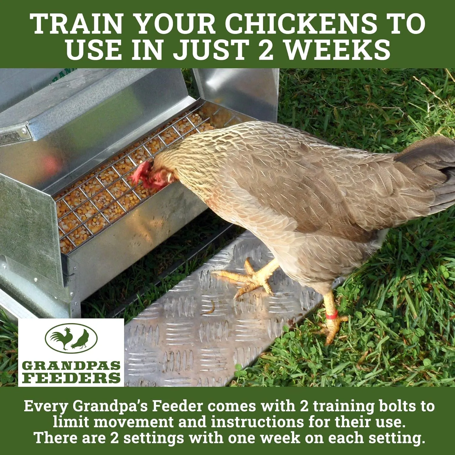 Grandpa's Feeders Automatic Chicken Feeder - Sturdy Galvanized Steel Poultry Feeders - No Spill with Weatherproof Lid - Standard Size for 6-12 Chickens 10 Days (20lb Feed)