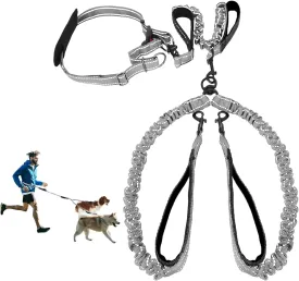 Hands Free Dog Leash, Double Leash for Running Comfortable Walking Jogging Training Hiking, Long Padded No Tangle 360 Swivel Clasp Adjustable Dual Lead Leashes, Grey