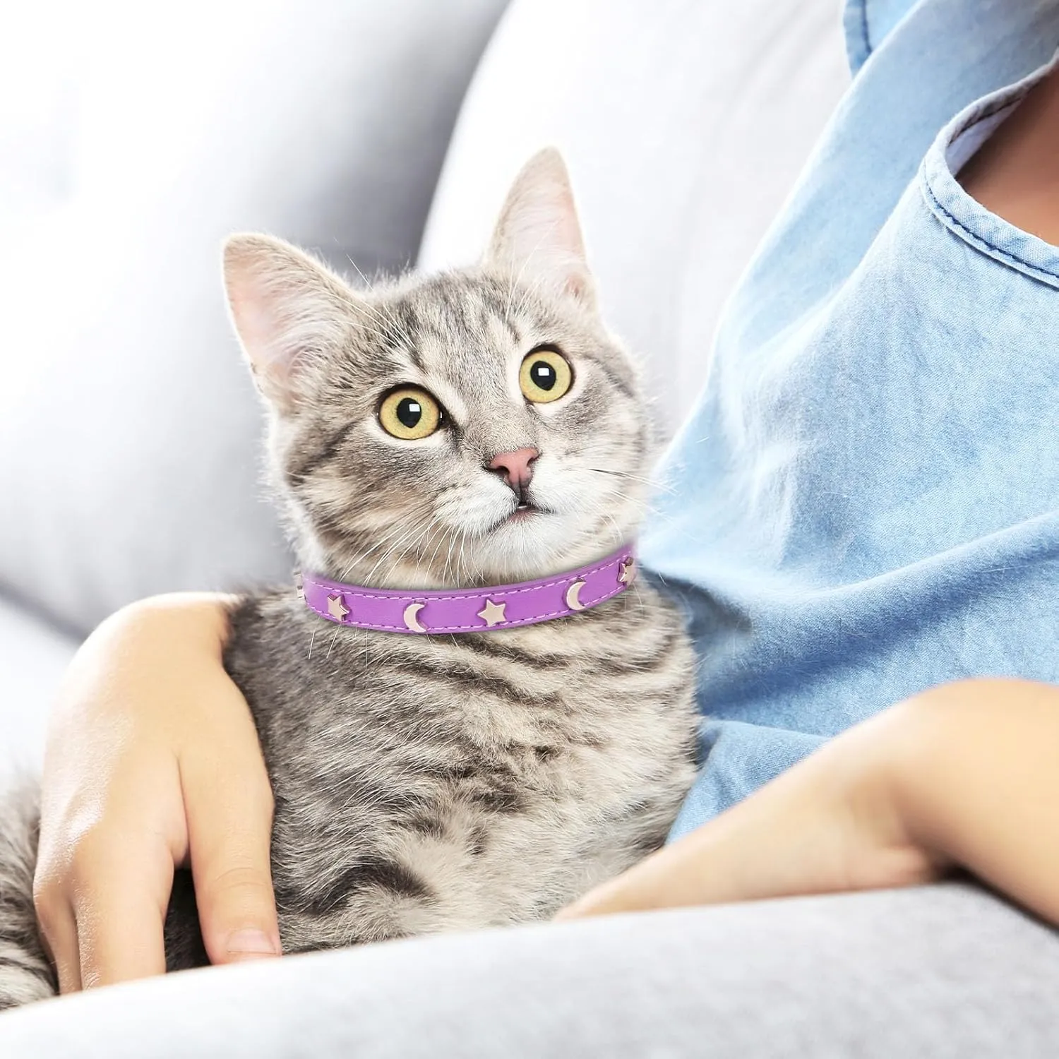 HLJ 2PCS Leather Cat Collars,Cat Collar with Bells Stylish Moon & Star Rivets Adjustable Kitten Collars Cat Collar for Boy&Girl Cats,Black&Purple(XS)