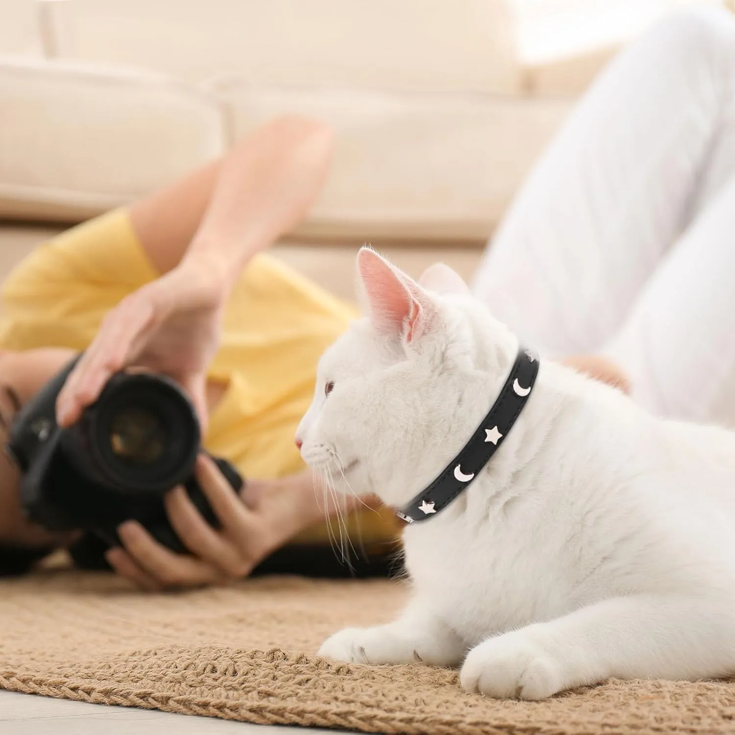 HLJ 2PCS Leather Cat Collars,Cat Collar with Bells Stylish Moon & Star Rivets Adjustable Kitten Collars Cat Collar for Boy&Girl Cats,Black&Purple(XS)