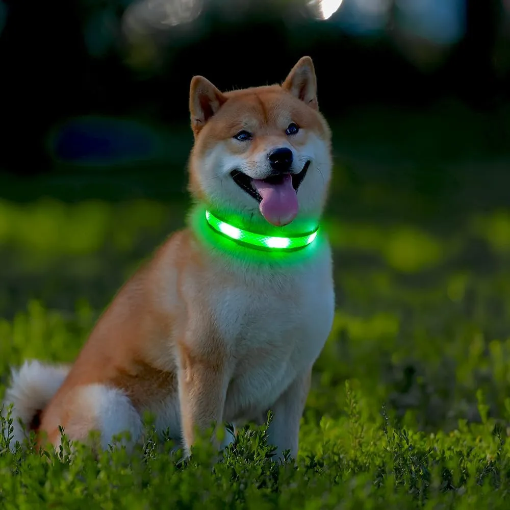 Illumifun Light Up Dog Collar - USB Rechargeable LED Dog Collar Glow in The Dark - High Visibility Glow Collar Light for Nighttime Walking (Large, Fluorescent Green)