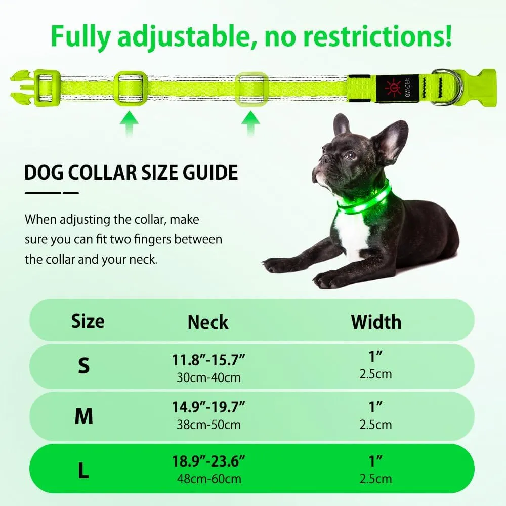 Illumifun Light Up Dog Collar - USB Rechargeable LED Dog Collar Glow in The Dark - High Visibility Glow Collar Light for Nighttime Walking (Large, Fluorescent Green)