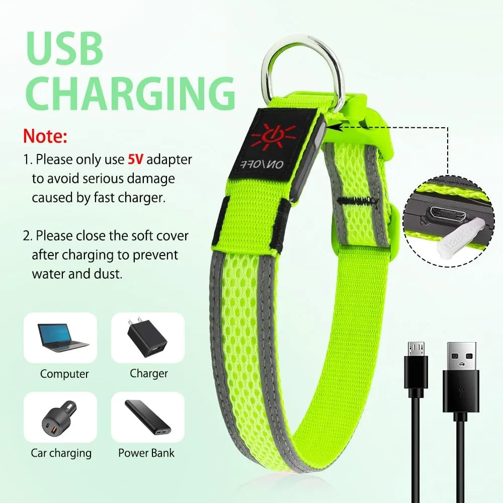 Illumifun Light Up Dog Collar - USB Rechargeable LED Dog Collar Glow in The Dark - High Visibility Glow Collar Light for Nighttime Walking (Large, Fluorescent Green)