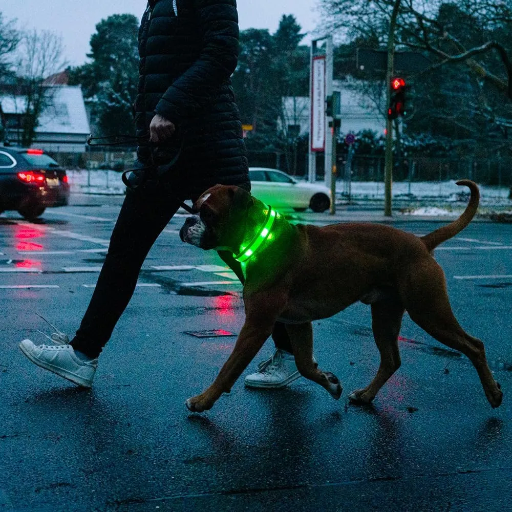 Illumifun Light Up Dog Collar - USB Rechargeable LED Dog Collar Glow in The Dark - High Visibility Glow Collar Light for Nighttime Walking (Large, Fluorescent Green)