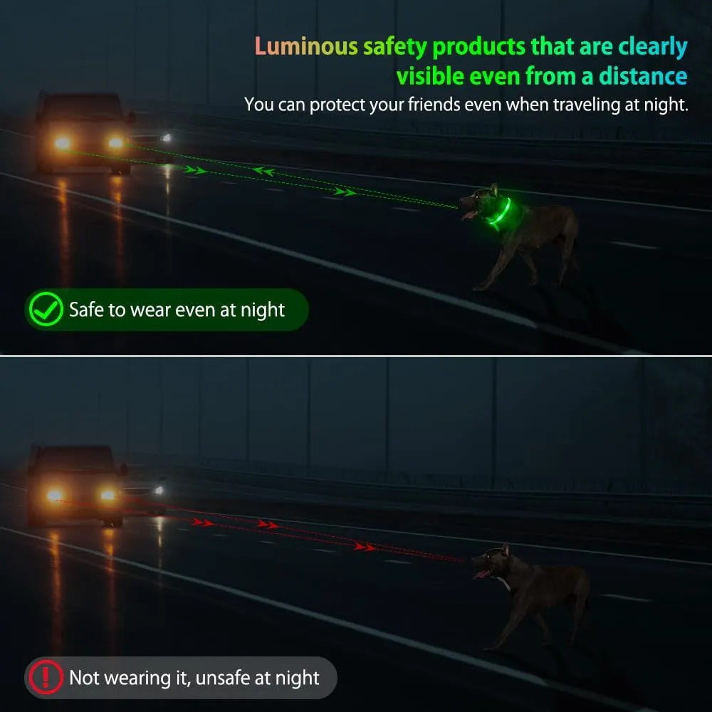 Illumifun Light Up Dog Collar - USB Rechargeable LED Dog Collar Glow in The Dark - High Visibility Glow Collar Light for Nighttime Walking (Large, Fluorescent Green)