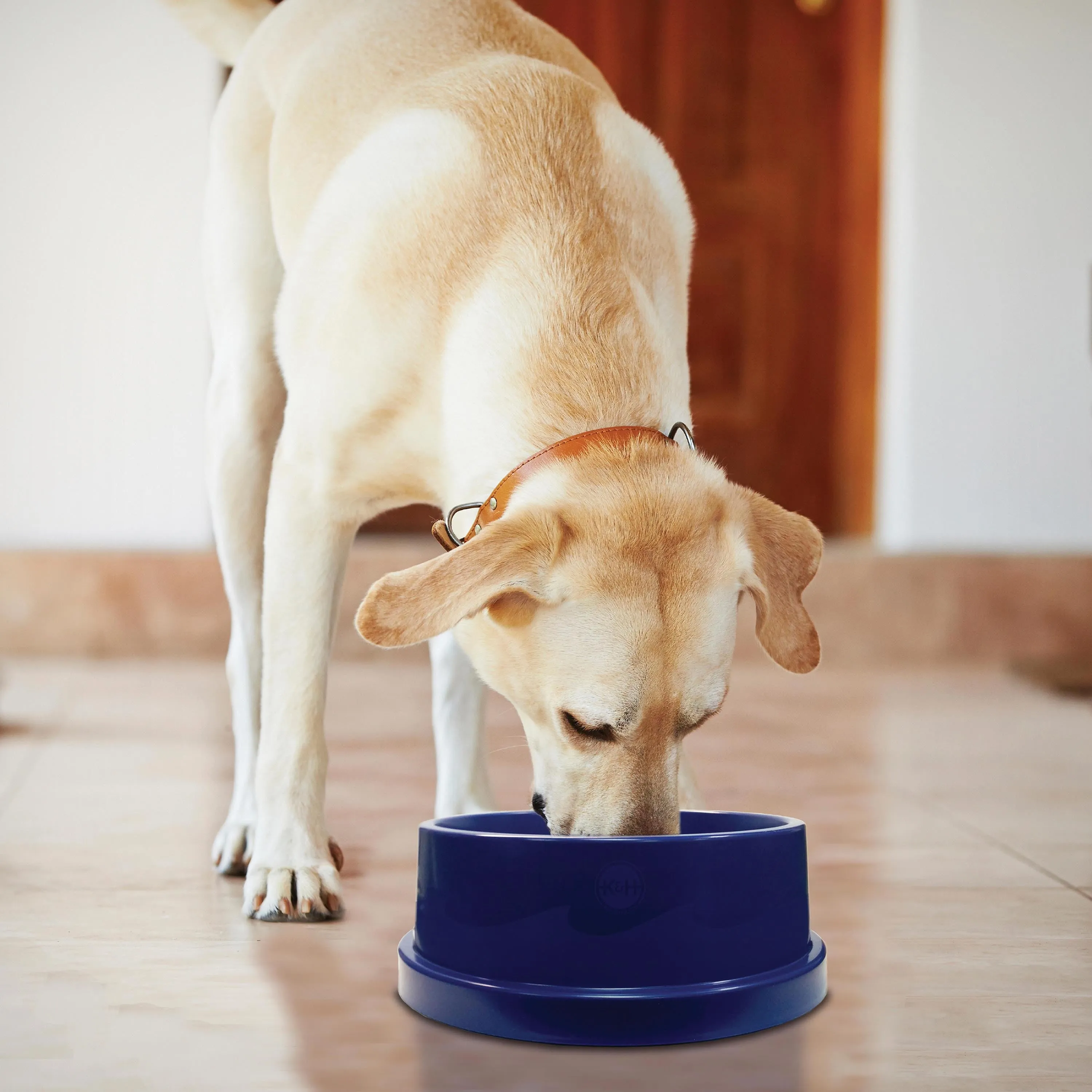 K&H Coolin' Bowl - Cooling Water Bowl for Pets