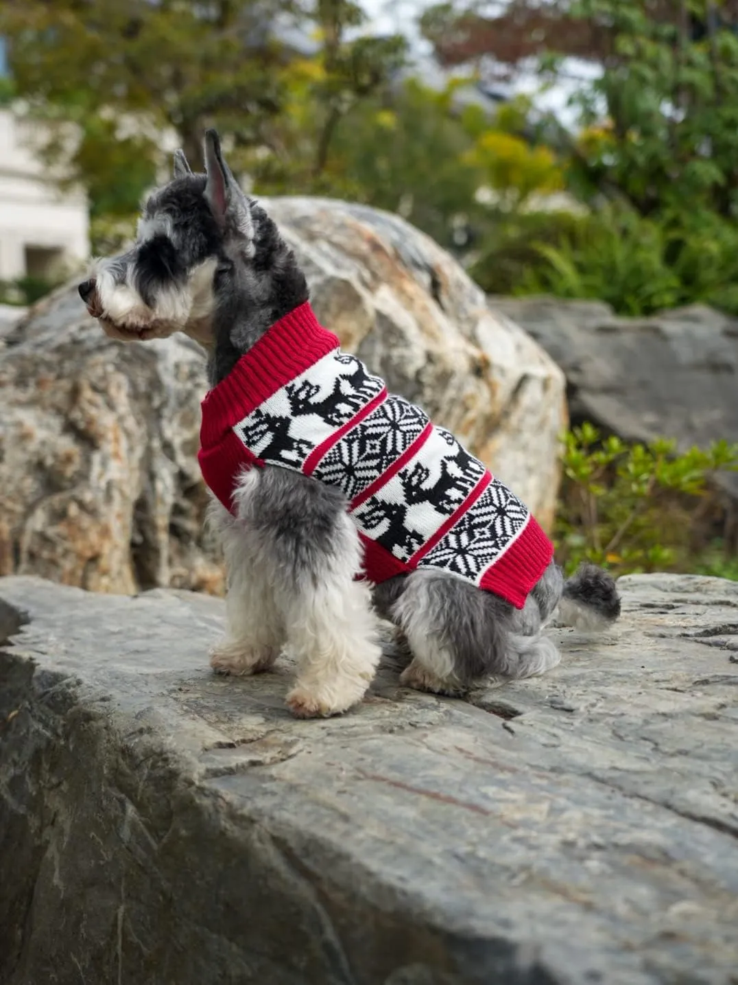Lanyarco Ugly Vintage Dog Christmas Sweater, Knit Xmas Reindeer Holiday Festive Christmas Dog Sweaters for Small Dogs, Medium M 14"
