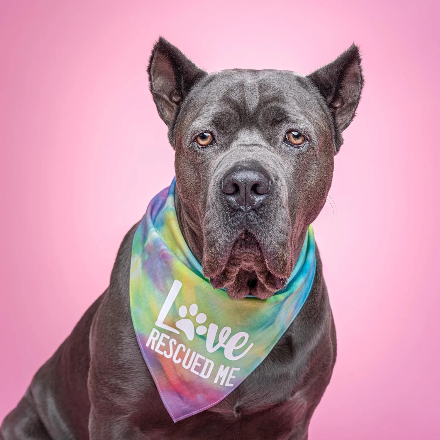 Love Rescued Me Dog Bandana | 100% Cotton Adjustable Triangle | Adoption Event Prop Photoshoot | Rescue | Puppy | New Dog |Red, One Size (164)