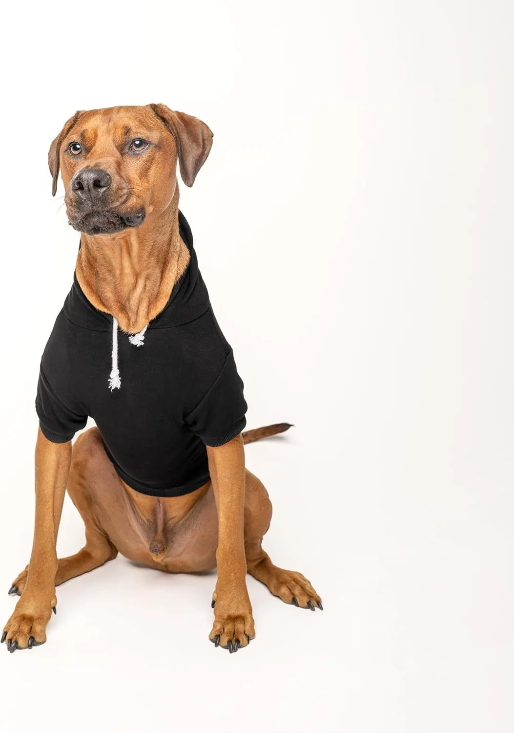 Mama's Boy Dog Hoodie | Fleece Lined |Leash Hole for Mom | Valentine's Day | Prop Photoshoot|Black, Small (6)
