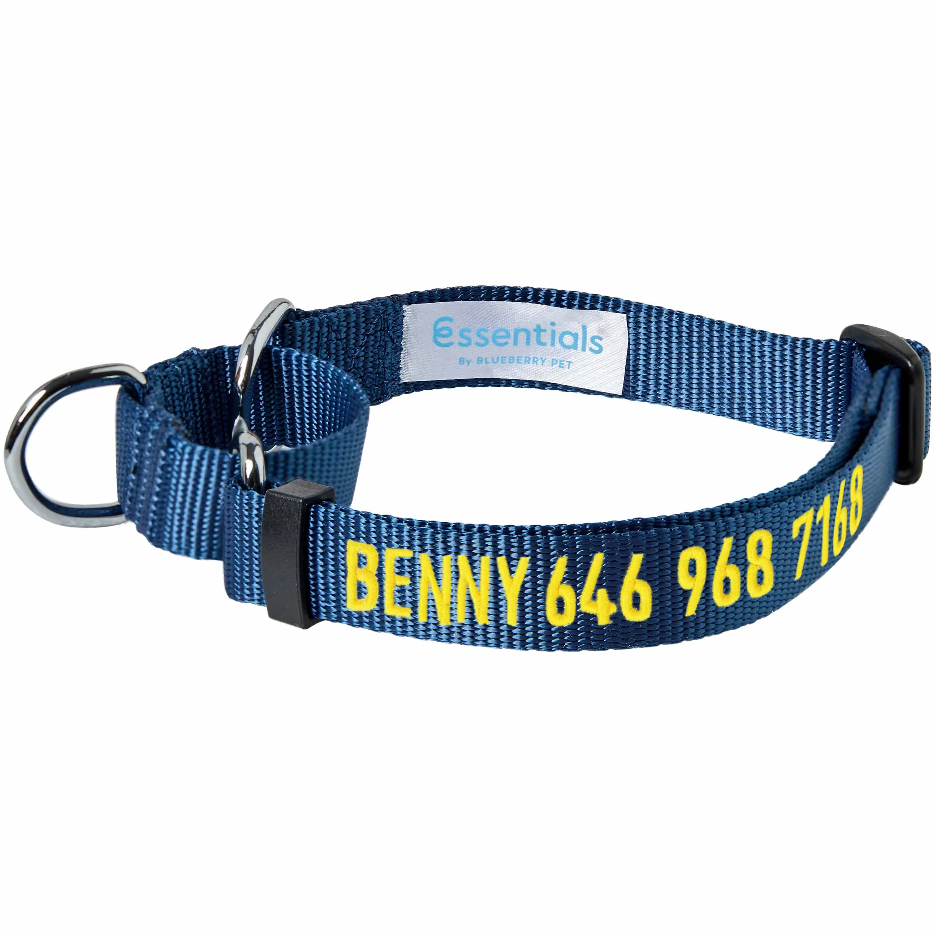 Nylon Personalized Martingale Safety Training Dog Collar Blue for Puppy S M L Boy Girl