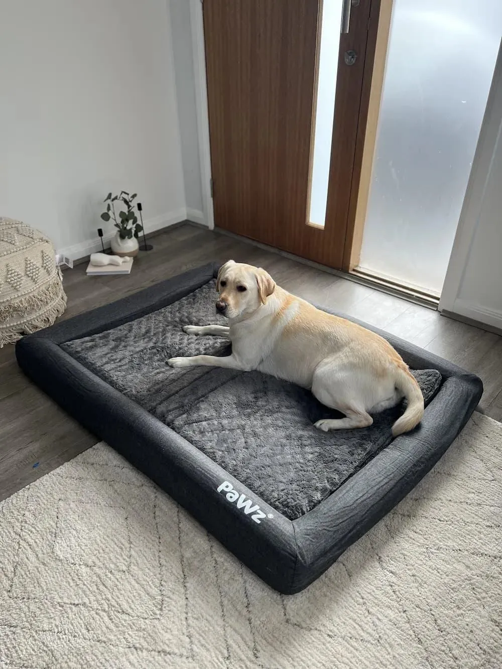 PaWz Premium Memory Foam Calming Dog Bed