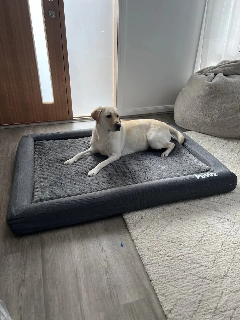 PaWz Premium Memory Foam Calming Dog Bed