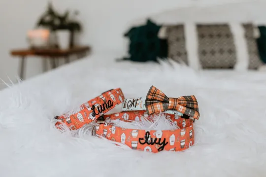 Personalized Dog Collar | Blue Pumpkin Spice Dog Collar | Duke & Fox®
