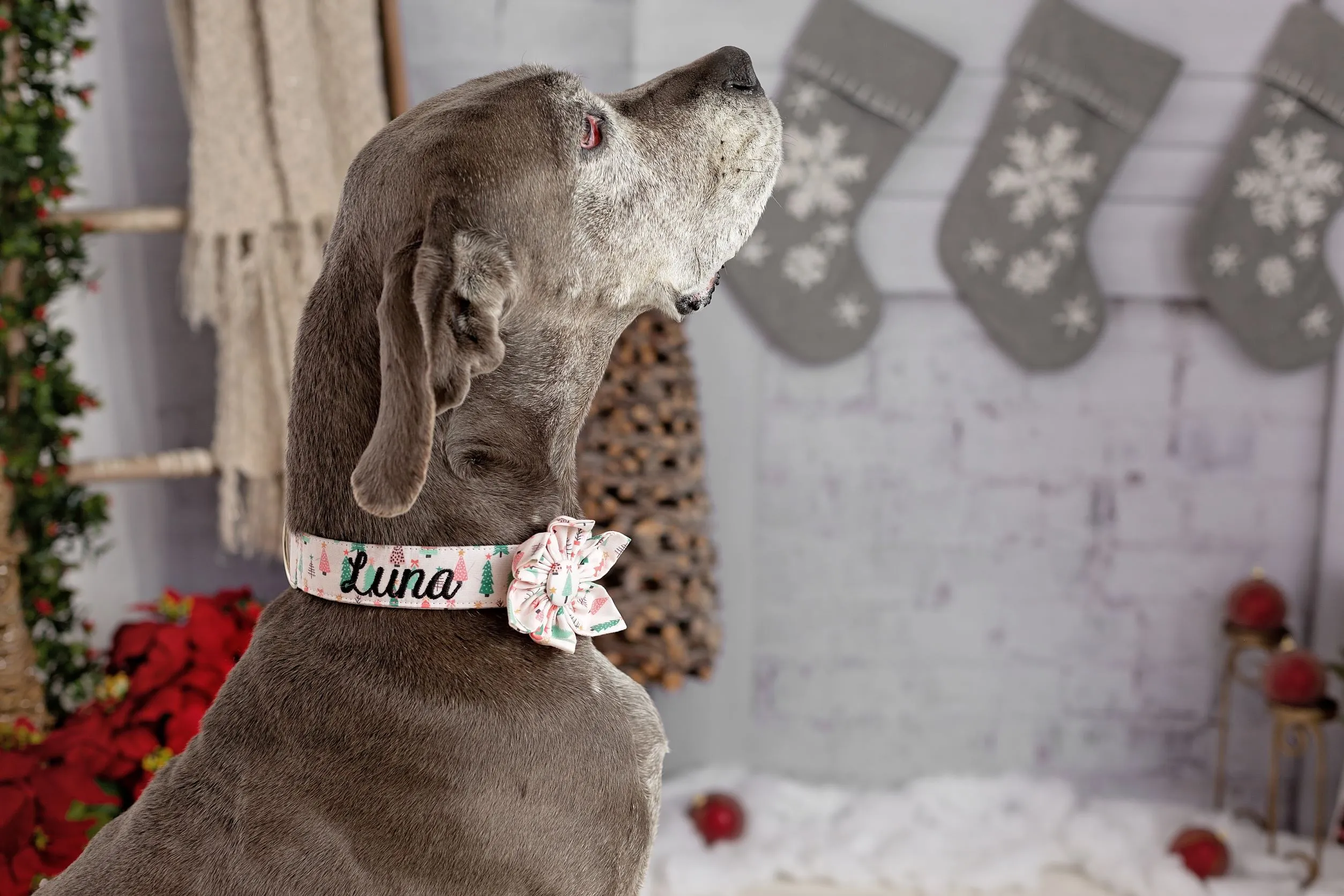 Personalized Dog Collar | It's a Pink Christmas Dog Collar | Duke & Fox®