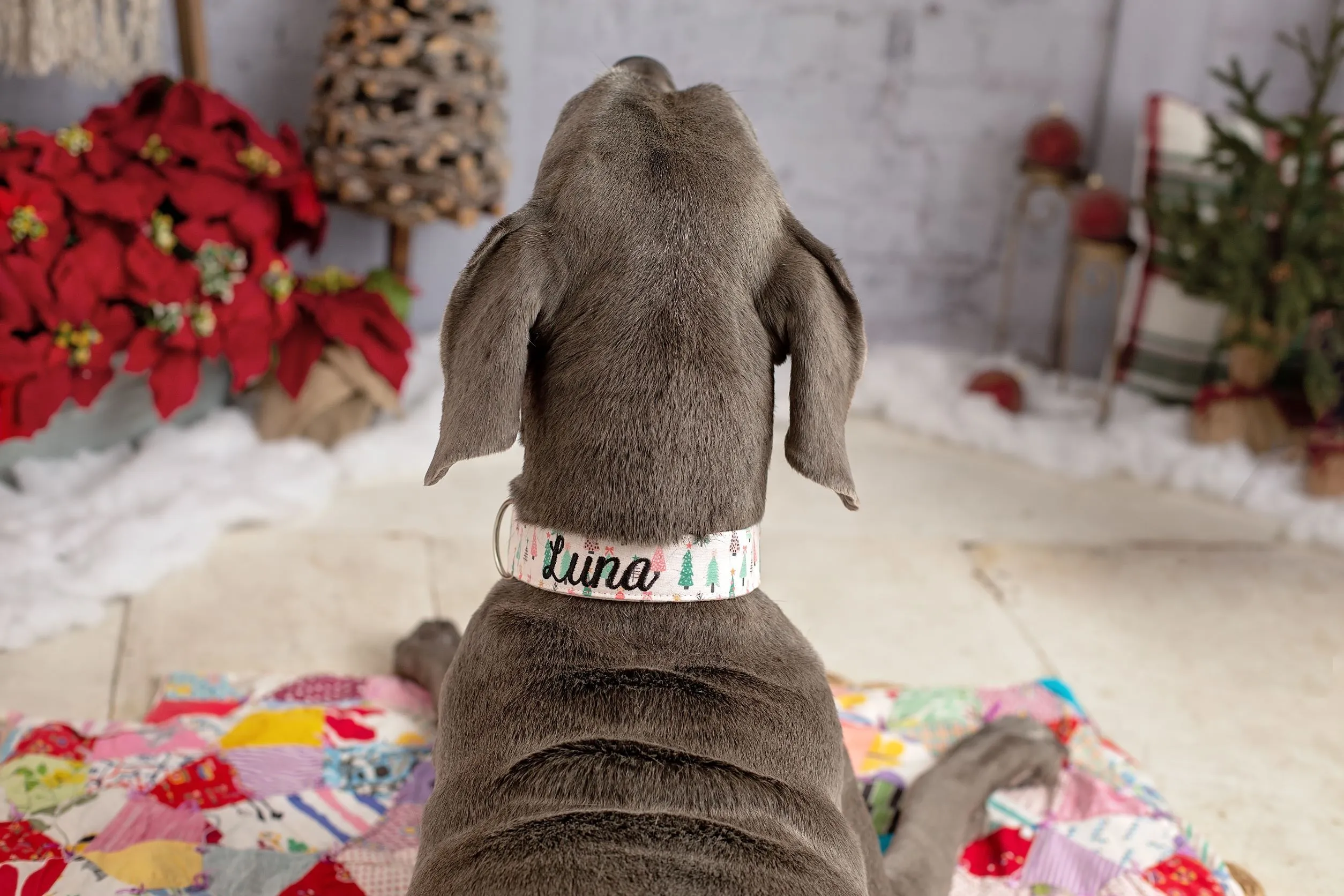 Personalized Dog Collar | It's a Pink Christmas Dog Collar | Duke & Fox®