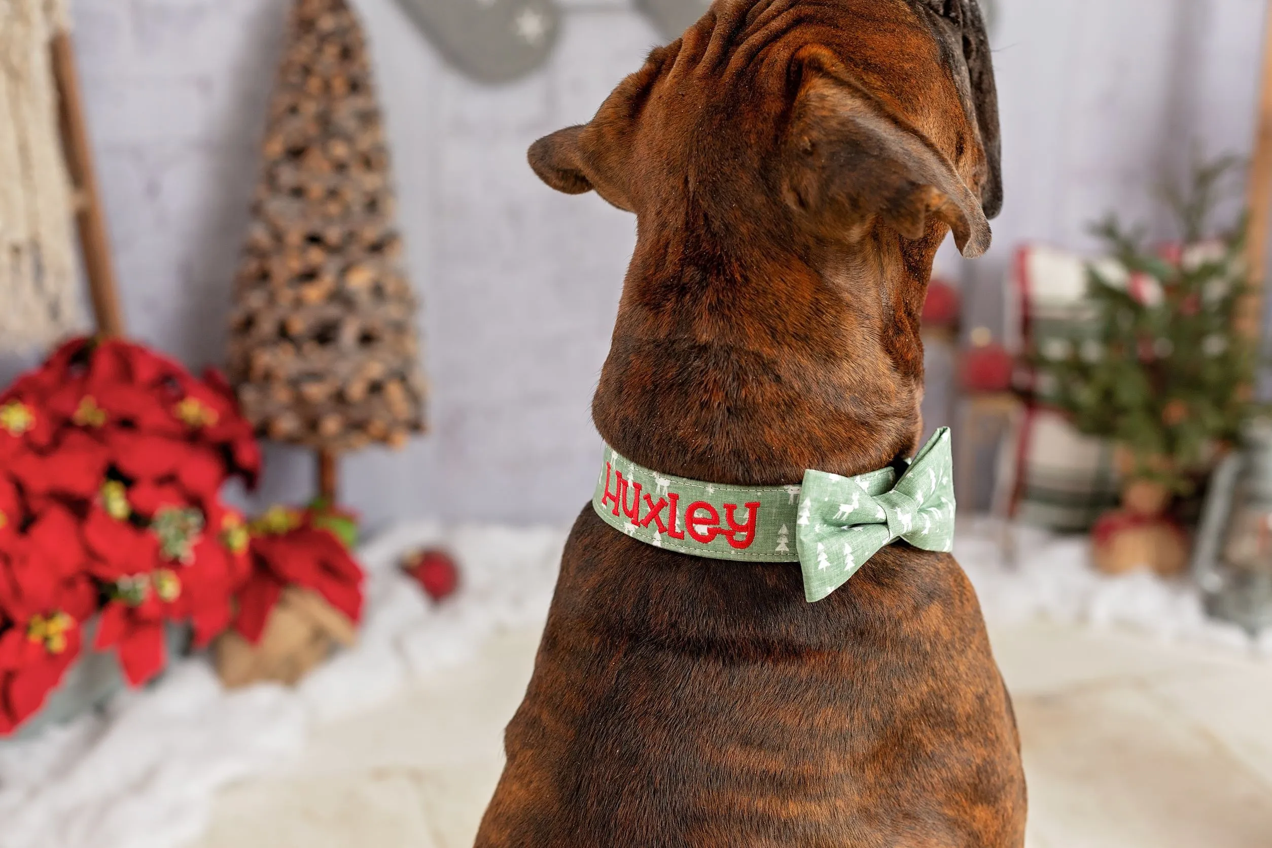 Personalized Dog Collar | Reindeer Dog Collar | Duke & Fox®