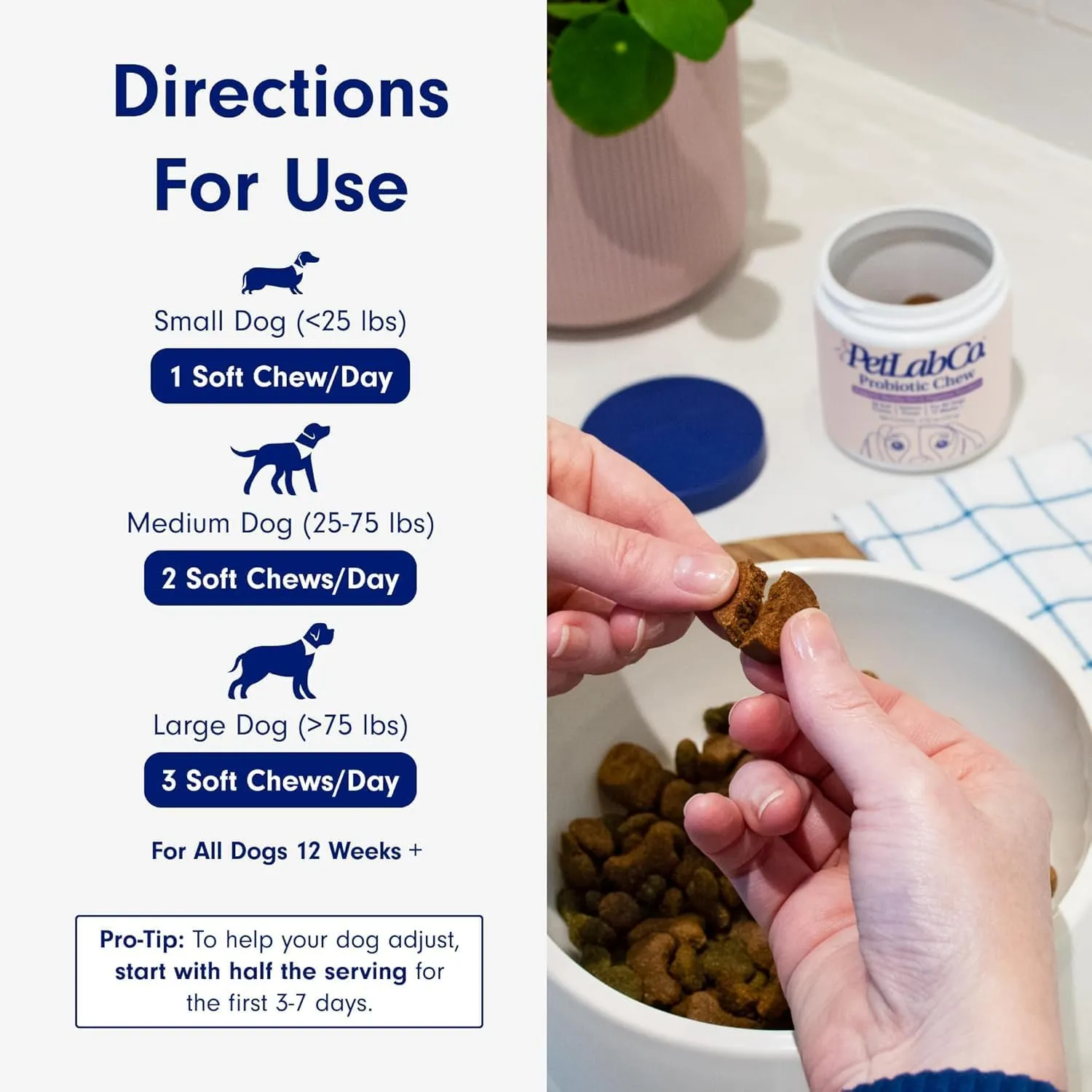 PetLab Co. Probiotics for Dogs, Support Gut Health, Occasional Diarrhea, Digestive Health & Seasonal Allergies - Pork Flavor - 30 Soft Chews - Packaging May Vary (Value 2-Pack)