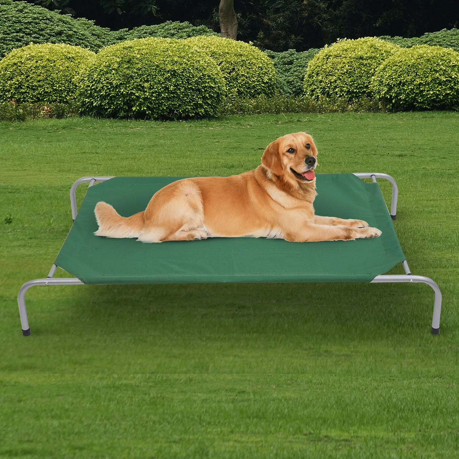 Portable Pets Elevated Raised Cot Bed-Green