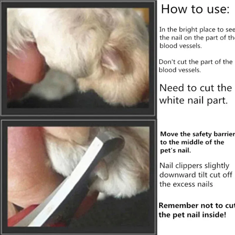 Professional Pet Nail Scissors for Dogs, Cats, and Birds