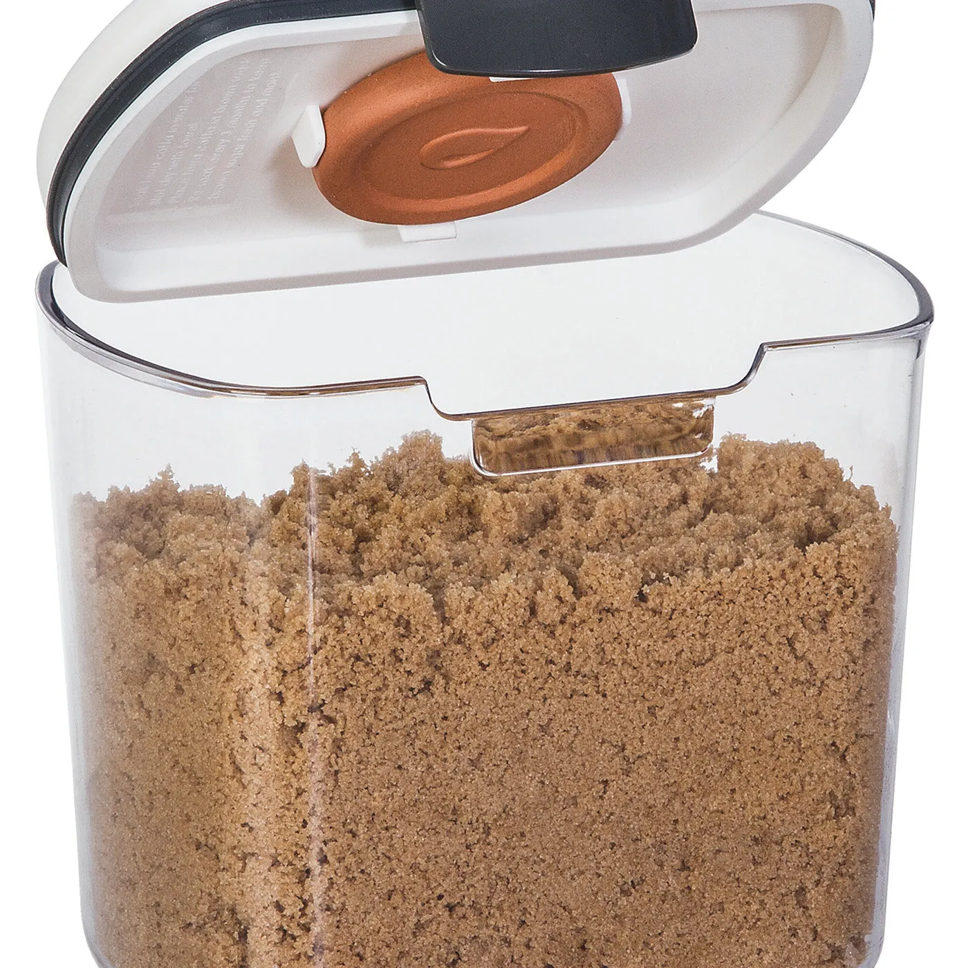 Progressive Prepworks ProKeeper Brown Sugar Airtight Storage Container, Clear