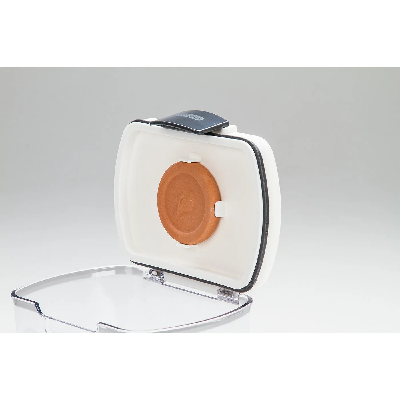Progressive Prepworks ProKeeper Brown Sugar Airtight Storage Container, Clear