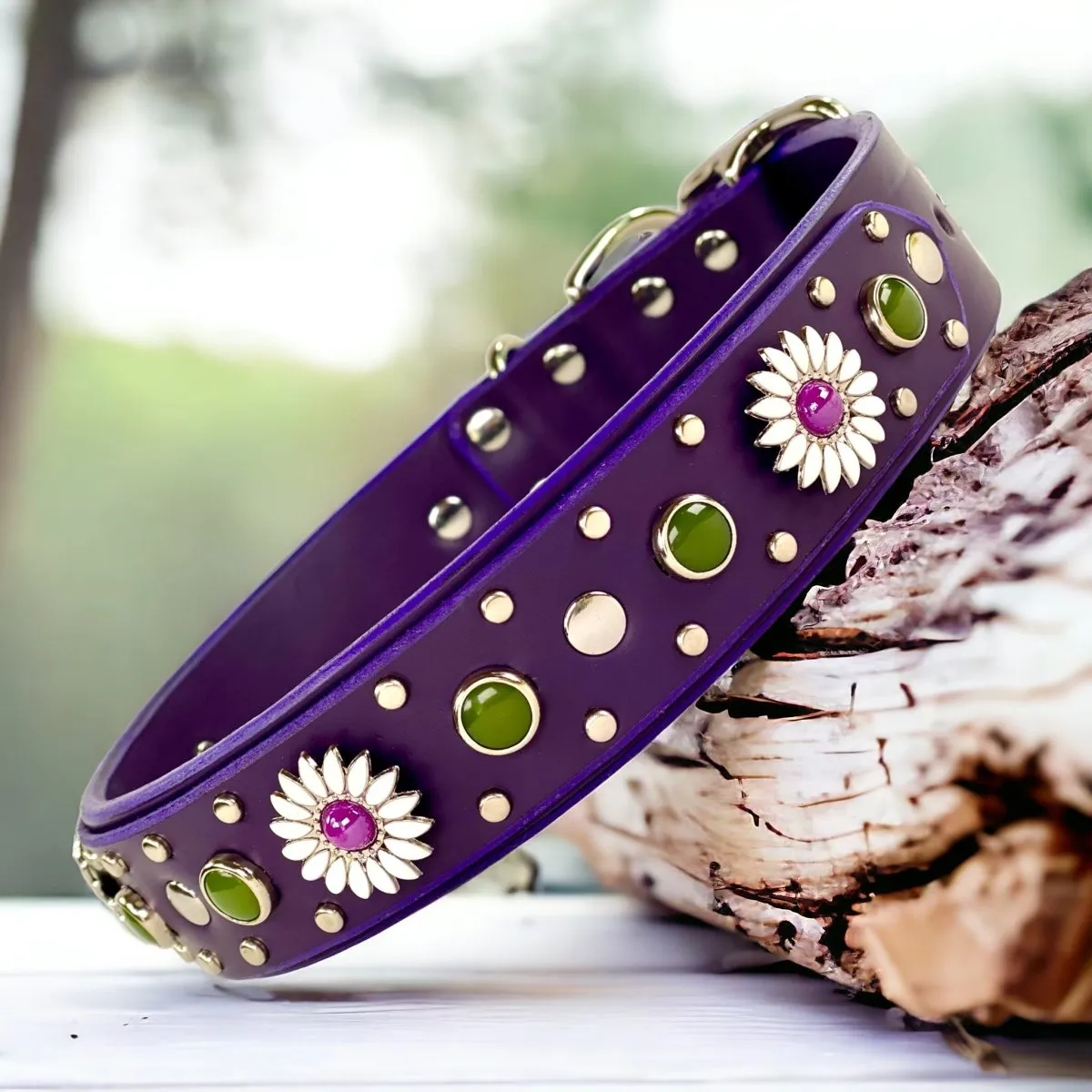 Purple Dog Collar Kalina