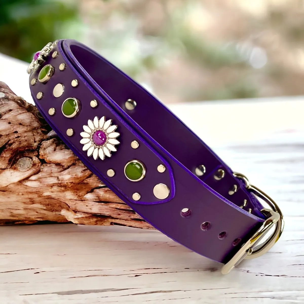 Purple Dog Collar Kalina