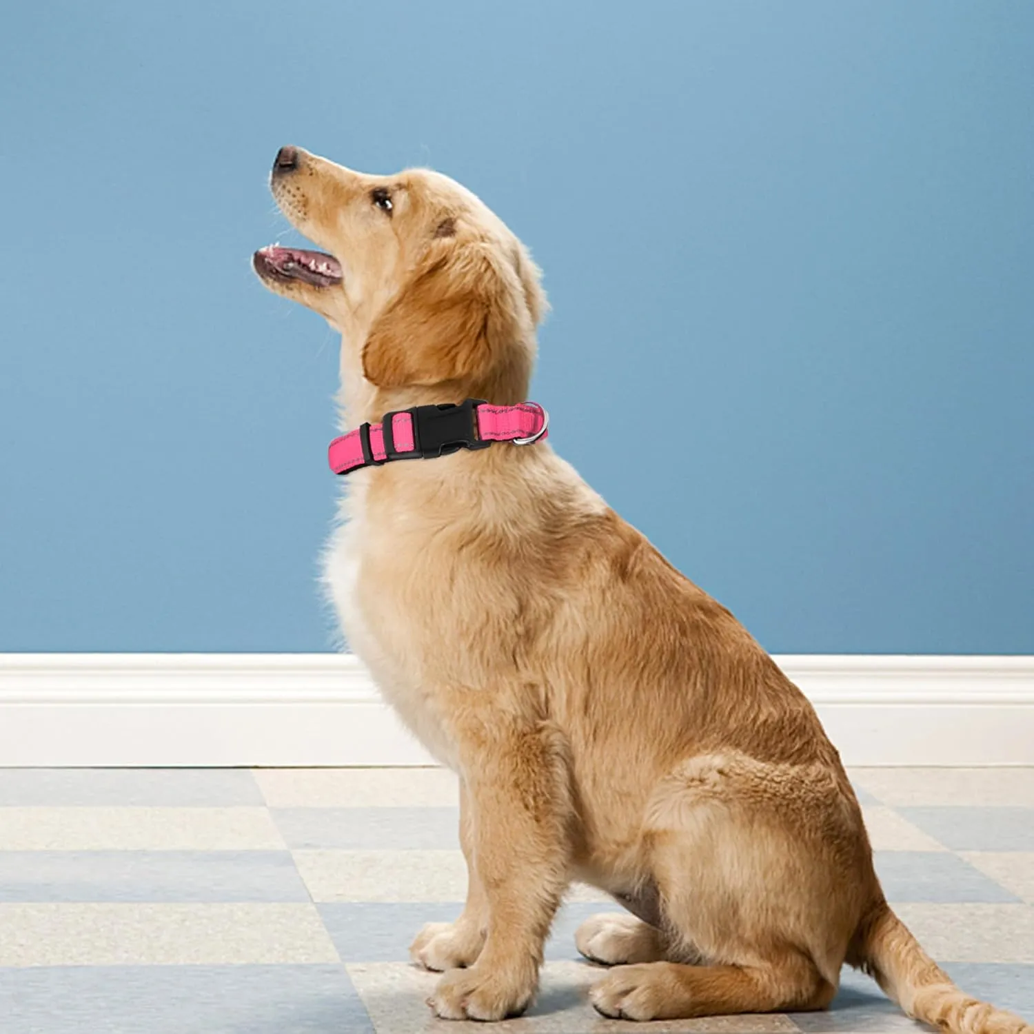 Reflective Dog Collar, Adjustable Soft Neoprene Padded Nylon Pet Collars with Buckle for Large Dogs, Hotpink,L
