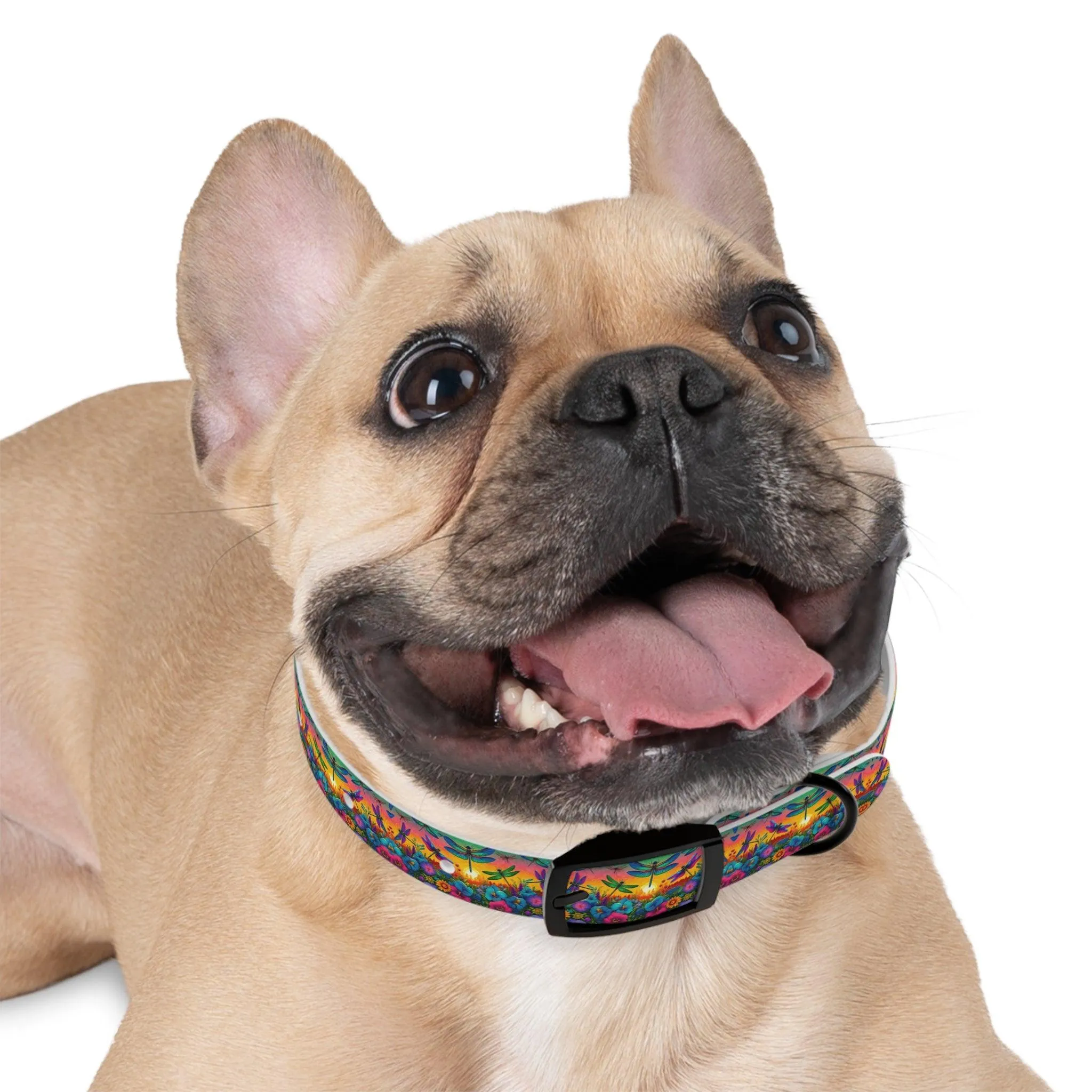 Sunshine Dragonfly Dog Collar
