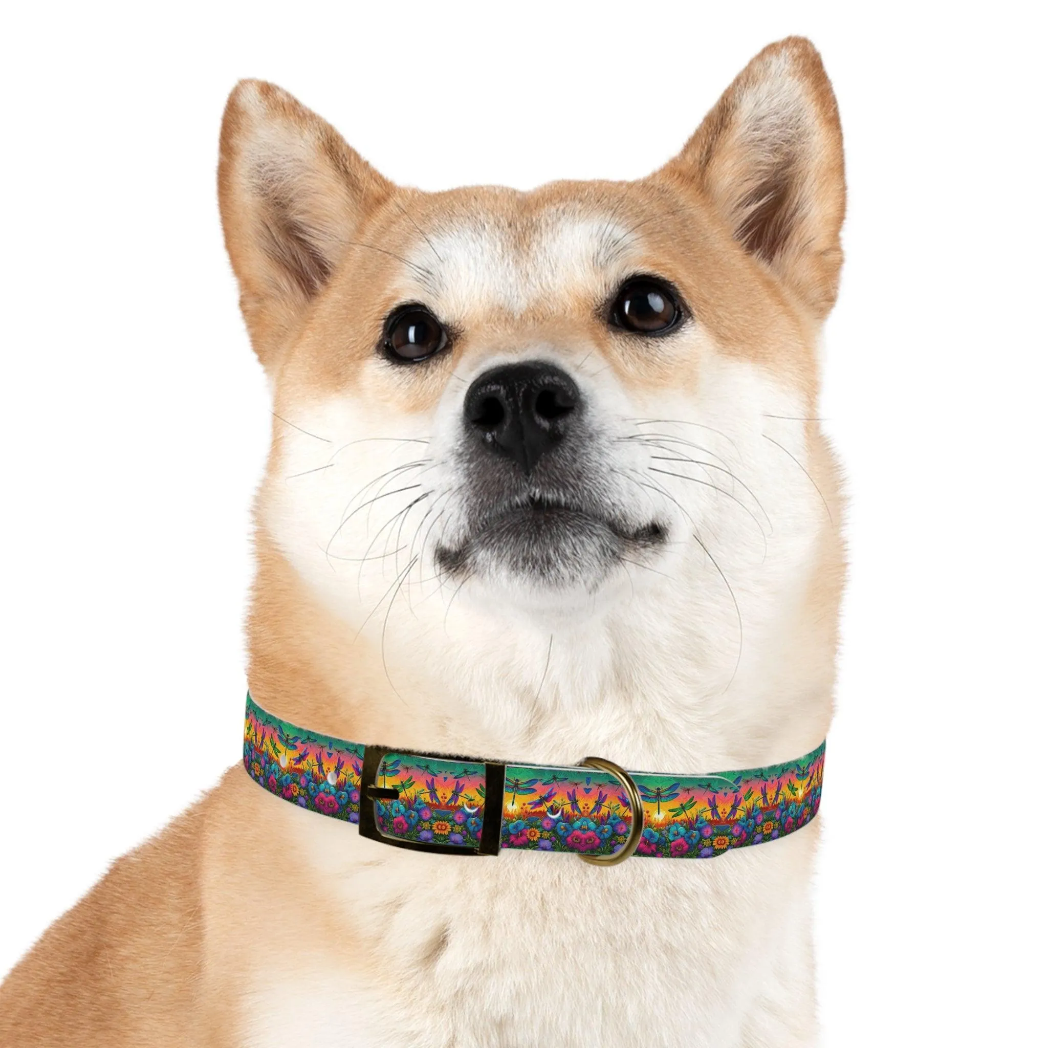 Sunshine Dragonfly Dog Collar