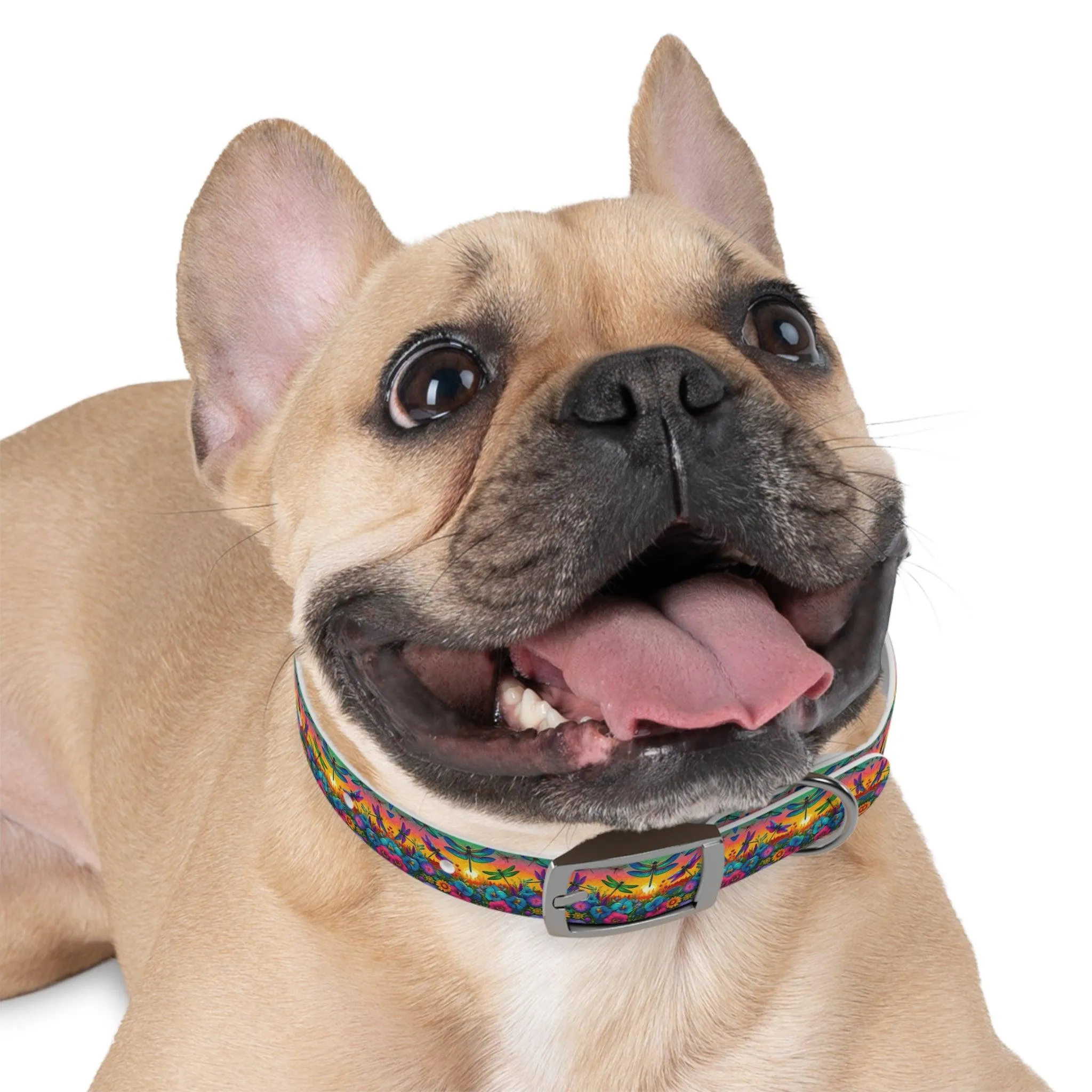 Sunshine Dragonfly Dog Collar