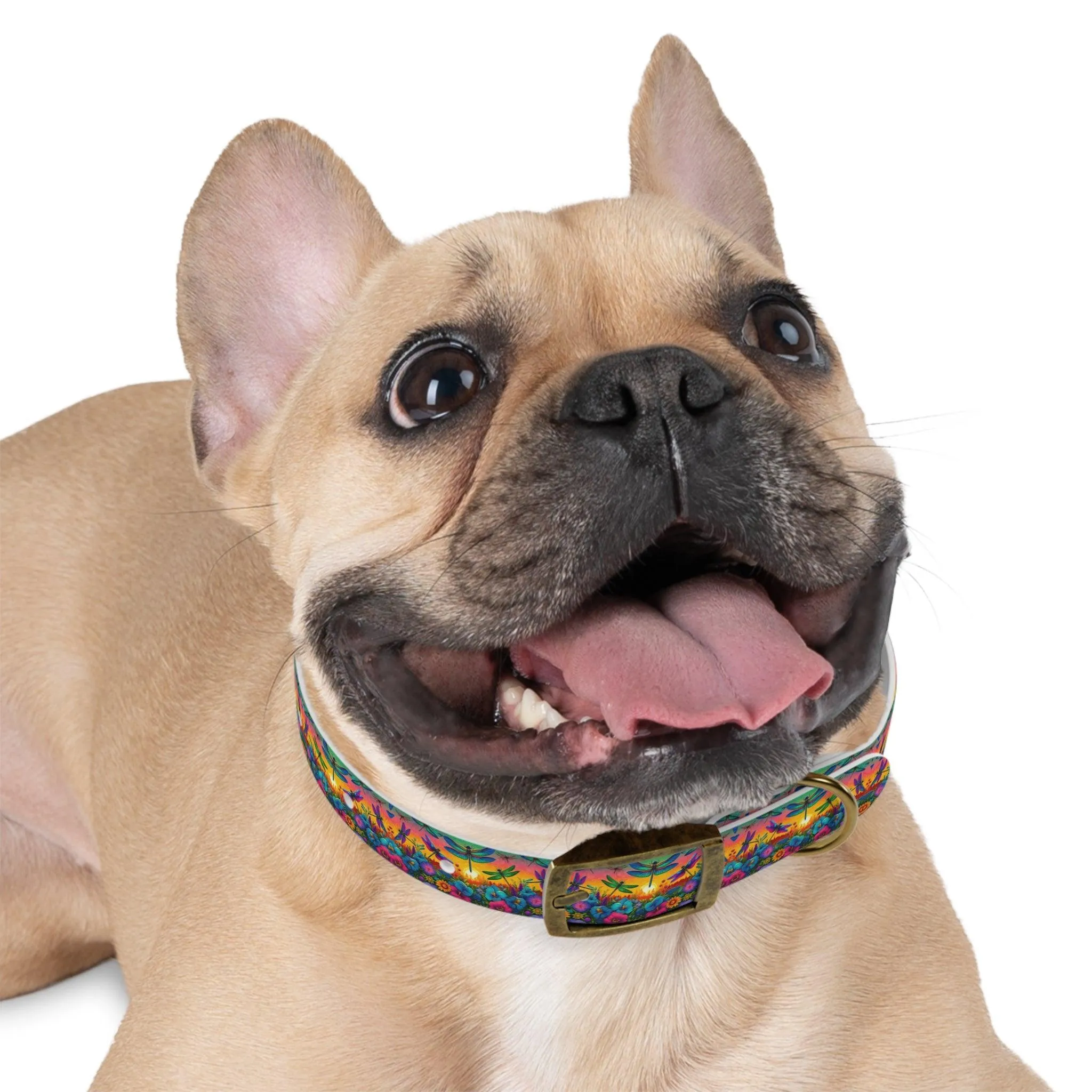 Sunshine Dragonfly Dog Collar