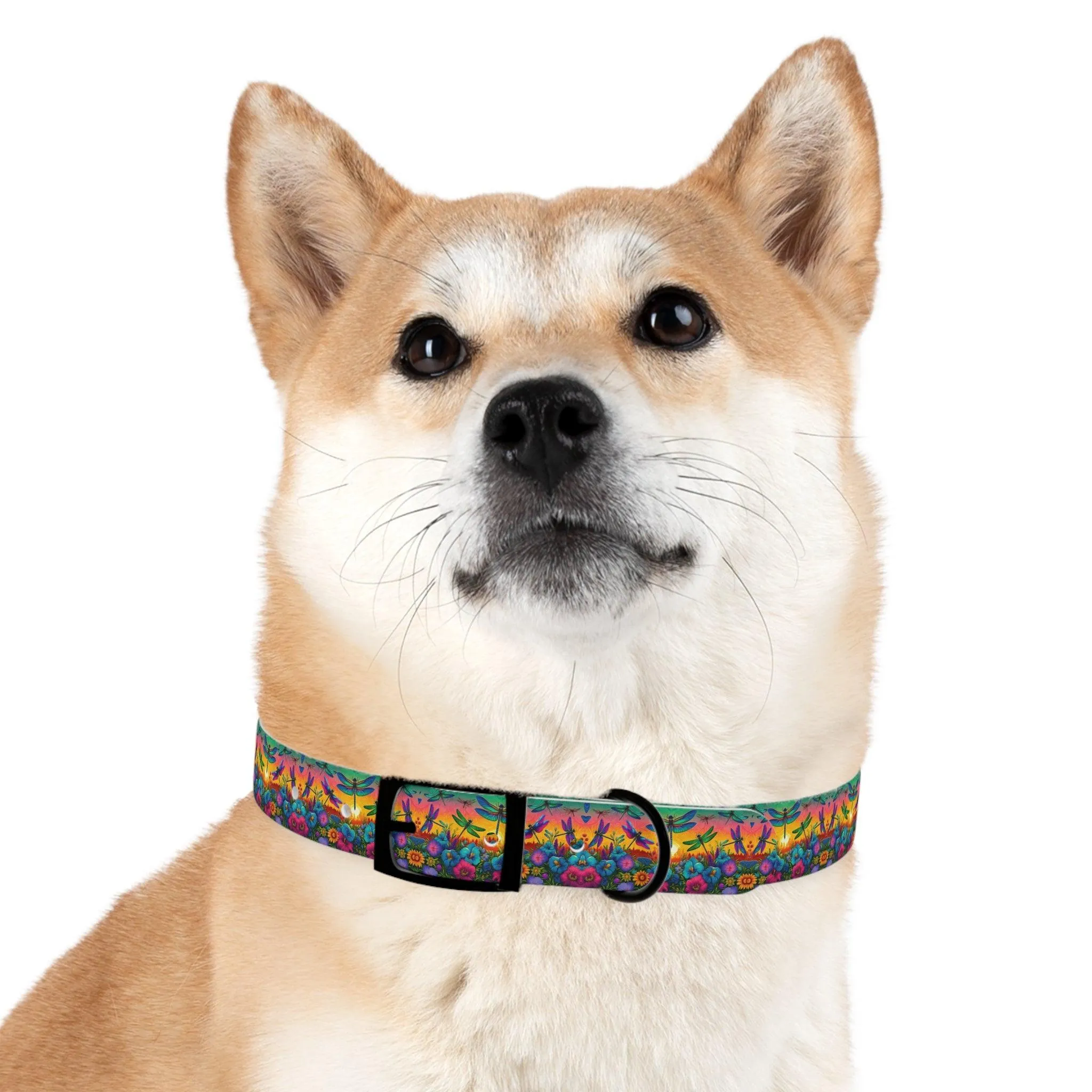 Sunshine Dragonfly Dog Collar