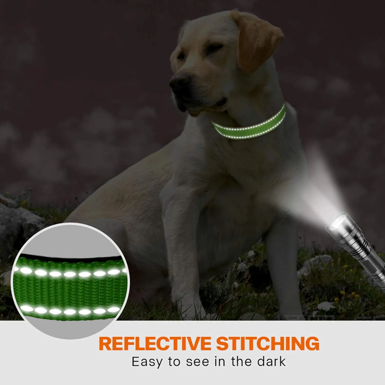 Taglory Reflective Dog Collar with Safety Locking Buckle, Adjustable Nylon Pet Collars for Large Dogs Female Male, Green, L