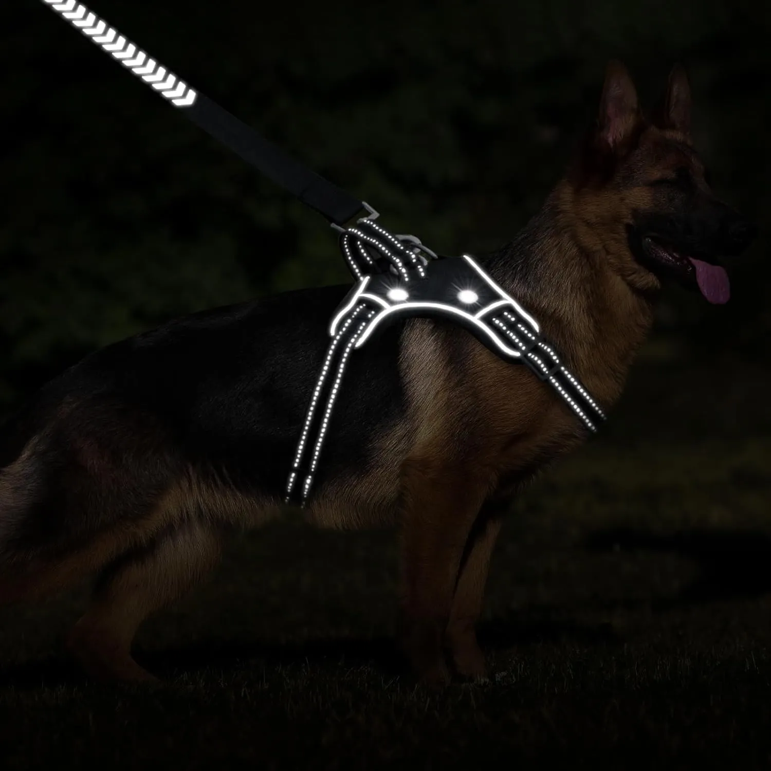 TECSPACE No Pull Light Up Dog Harness and Leash Set, Escape Proof Reflective Adjustable Soft Padded Pet Vest with Easy Control Handle for Small Medium Large Dogs and Cats, Forest camouflage