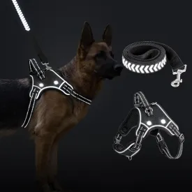 TECSPACE No Pull Light Up Dog Harness and Leash Set, Escape Proof Reflective Adjustable Soft Padded Pet Vest with Easy Control Handle for Small Medium Large Dogs and Cats, Forest camouflage