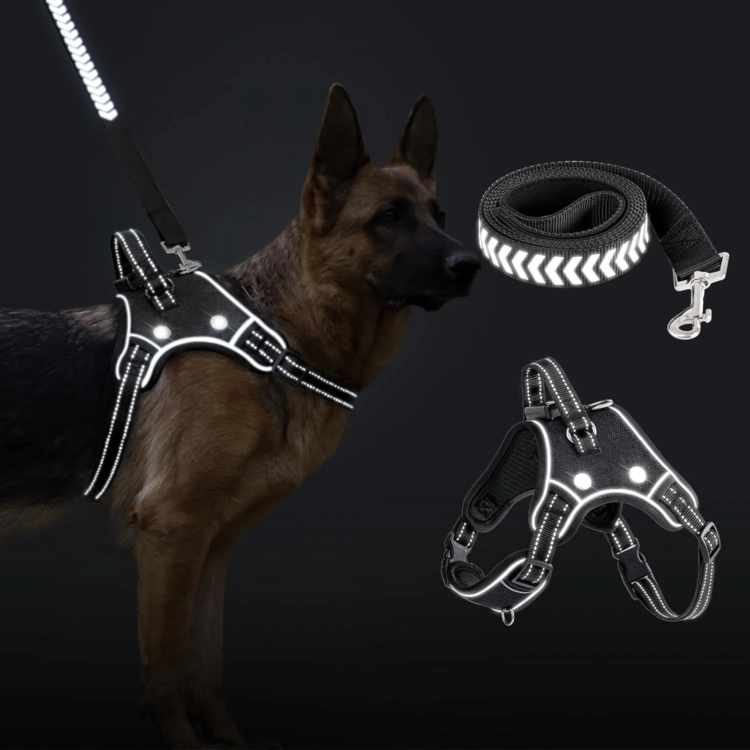 TECSPACE No Pull Light Up Dog Harness and Leash Set, Escape Proof Reflective Adjustable Soft Padded Pet Vest with Easy Control Handle for Small Medium Large Dogs and Cats, Forest camouflage