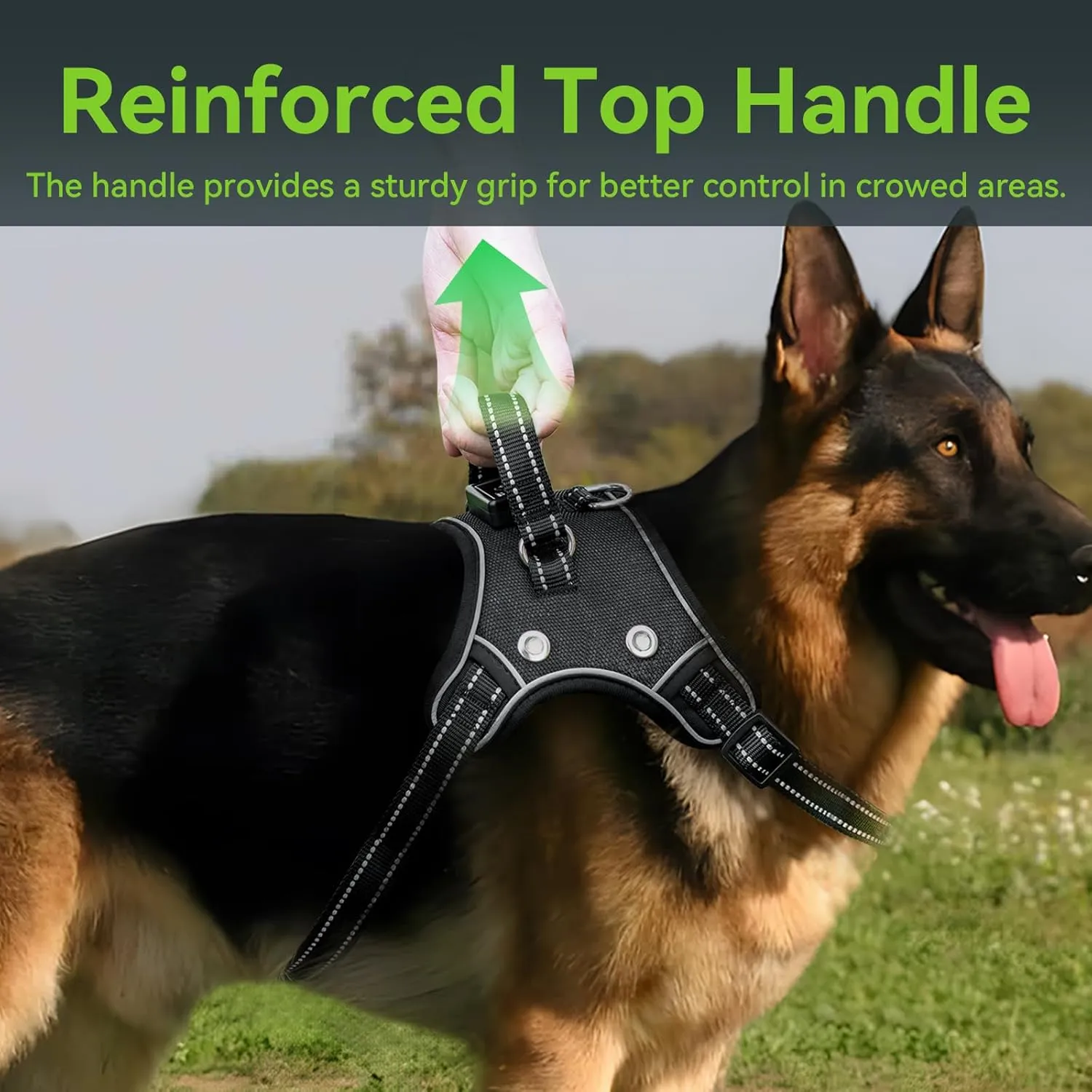 TECSPACE No Pull Light Up Dog Harness and Leash Set, Escape Proof Reflective Adjustable Soft Padded Pet Vest with Easy Control Handle for Small Medium Large Dogs and Cats, Forest camouflage