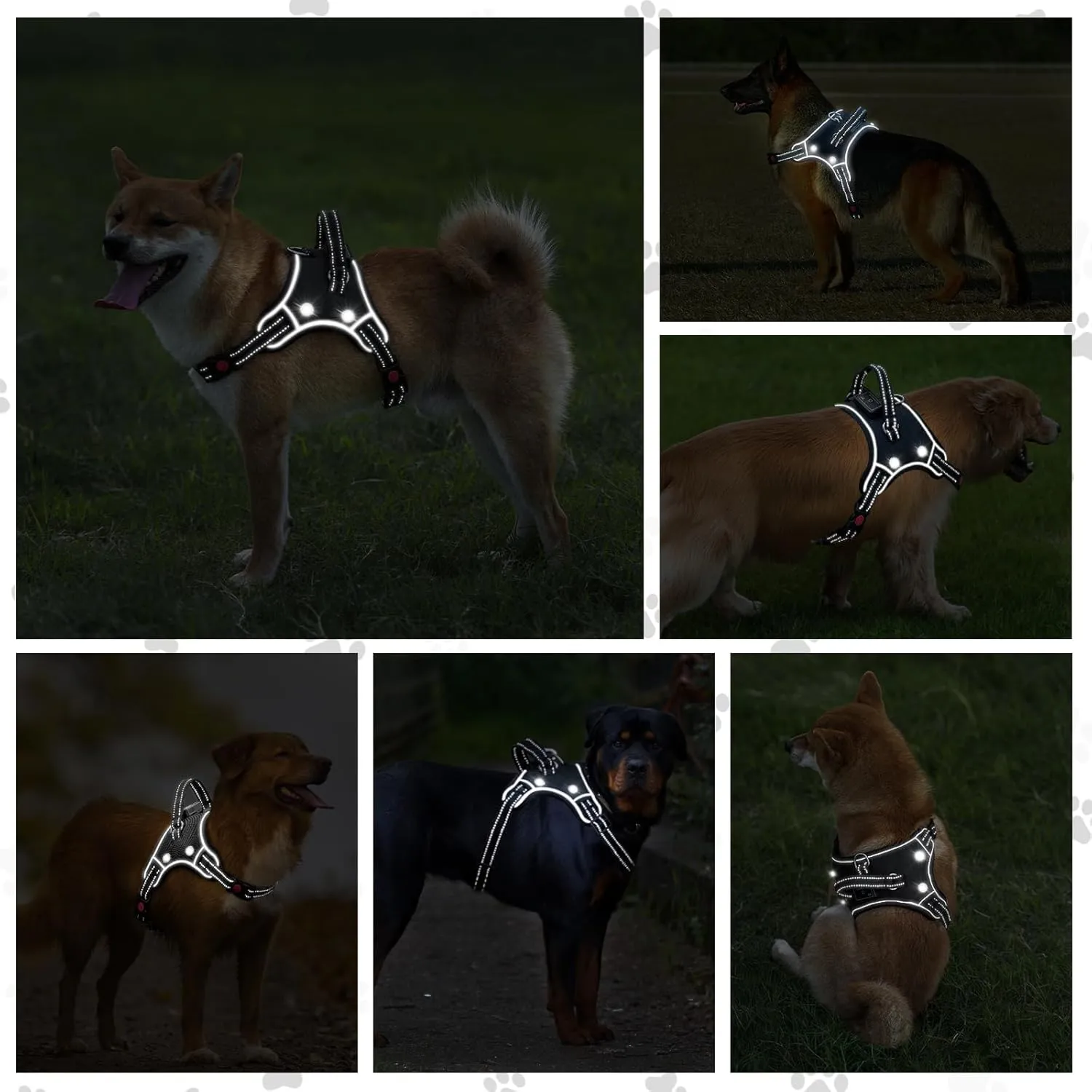 TECSPACE No Pull Light Up Dog Harness and Leash Set, Escape Proof Reflective Adjustable Soft Padded Pet Vest with Easy Control Handle for Small Medium Large Dogs and Cats, Forest camouflage