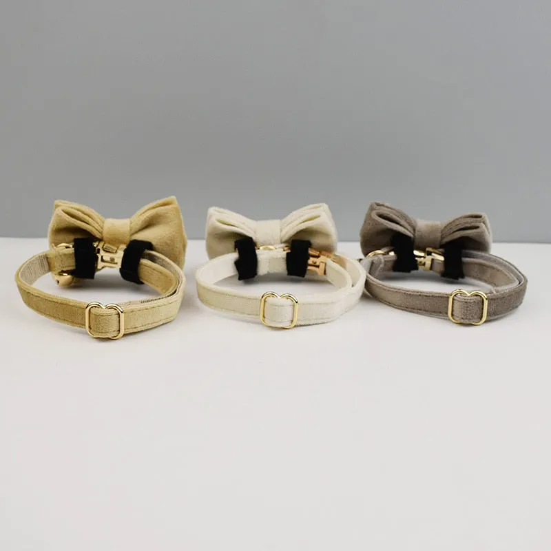 Velvetty Trends: Personalized Collars and Bowties