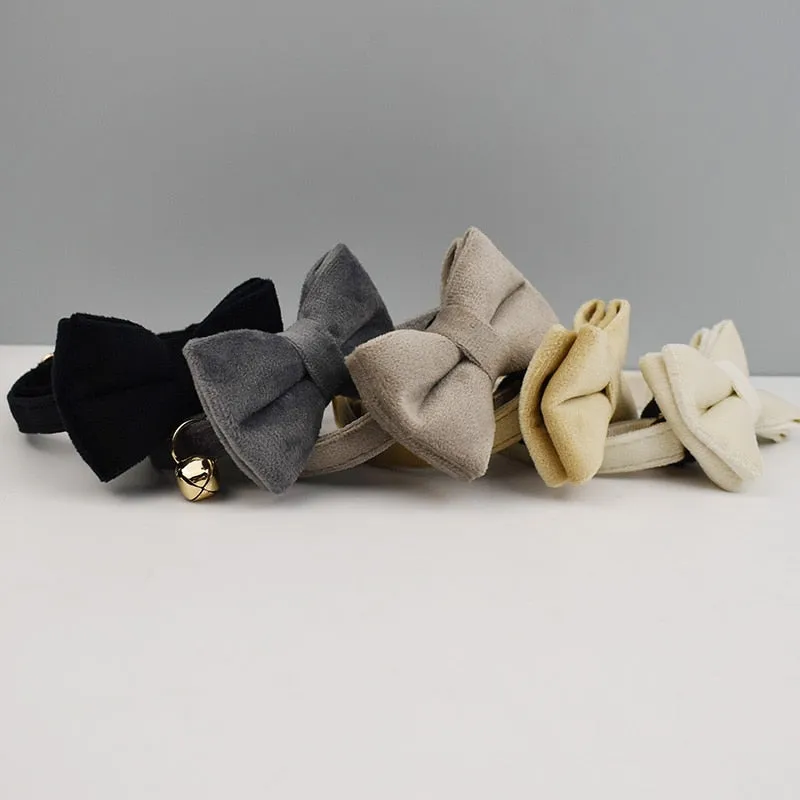 Velvetty Trends: Personalized Collars and Bowties