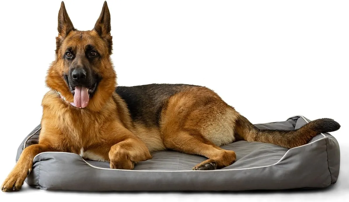 Waterproof Dog Mats for Large Medium Dogs,Outdoor Orthopedic Foam Dog Bed with 900D Oxford Fabric Surface,Dog Bed for Crate with Removable Washable and Machine Cover,35"x23",Grey